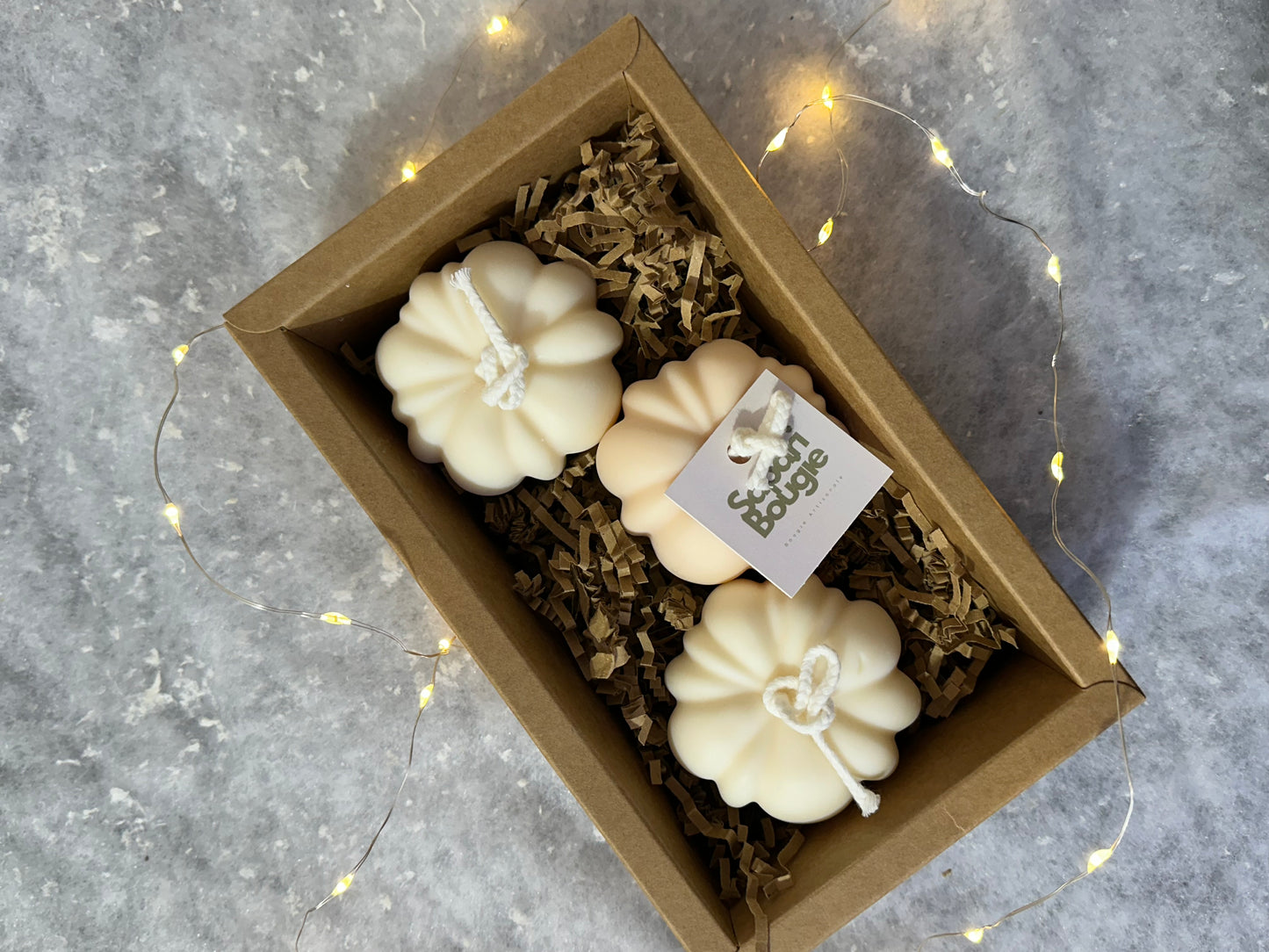 Coffret Citrouille 🎃