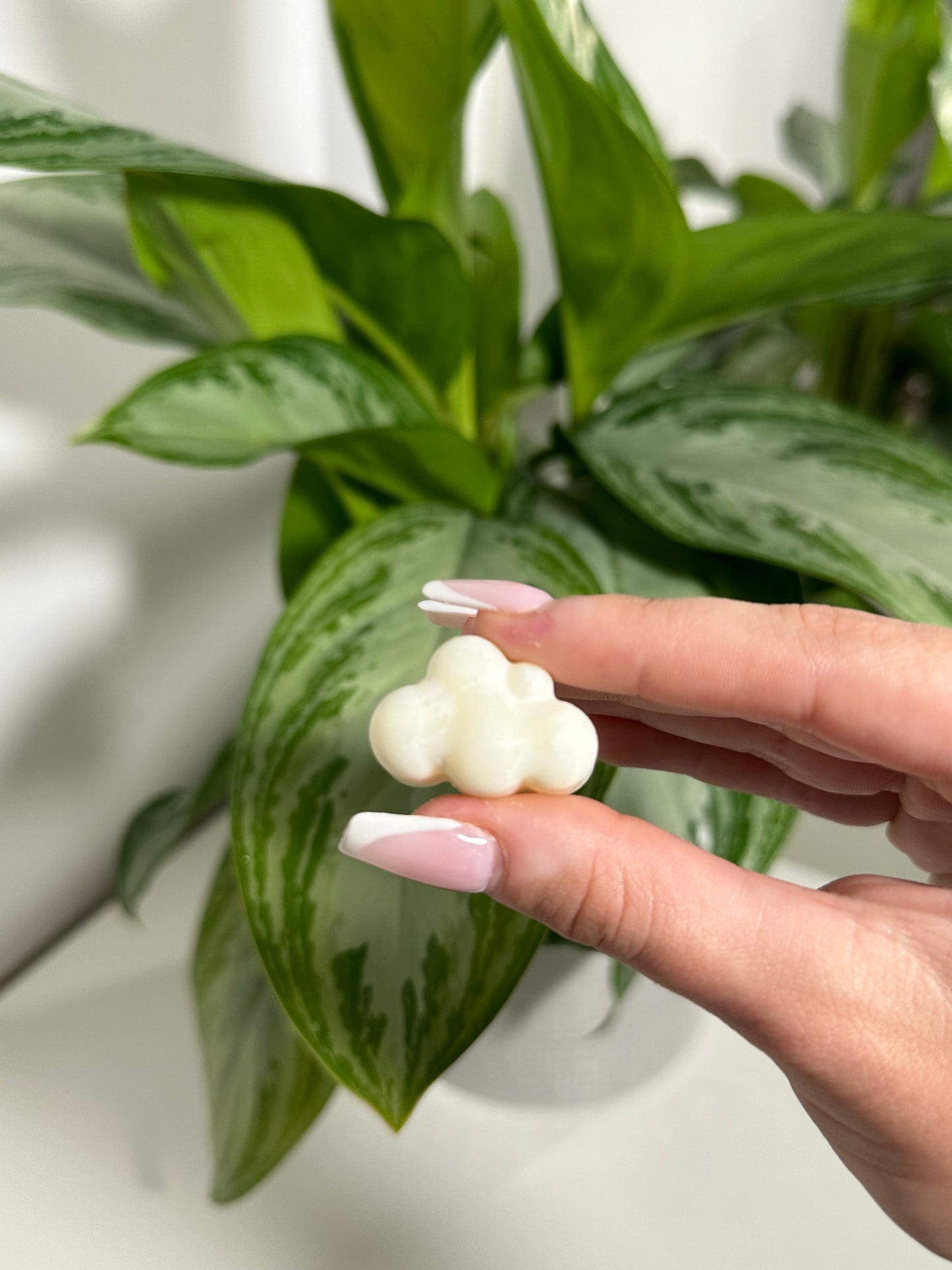 Fondants Parfumés Vanilla Ice Cream 🍦