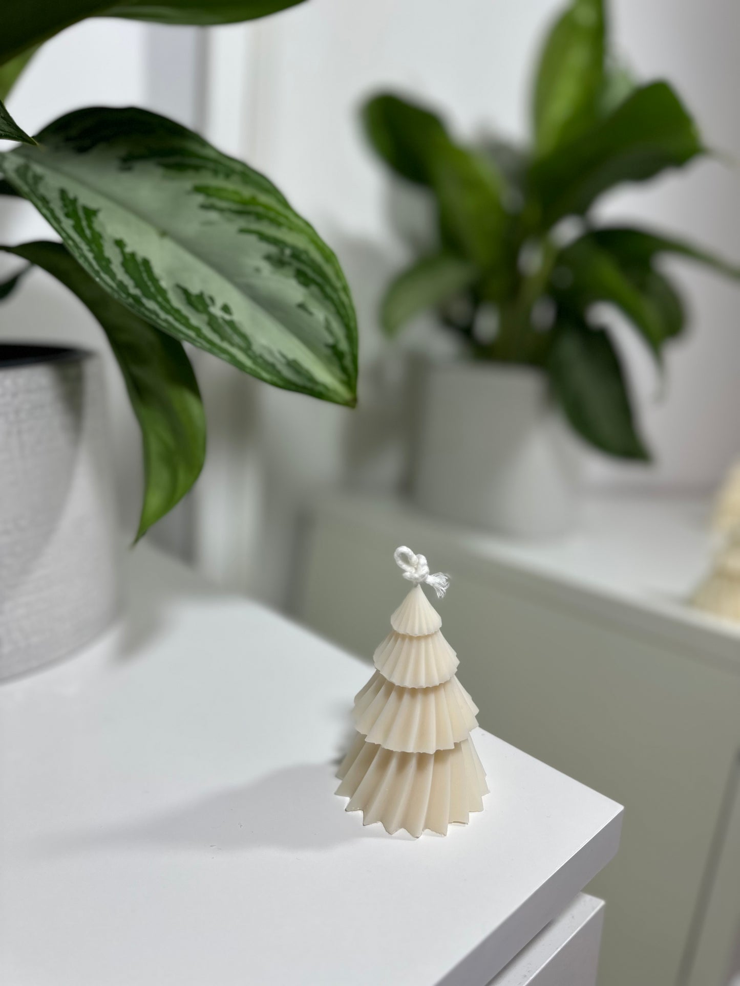 Bougie Forêt Enchantée 🌲