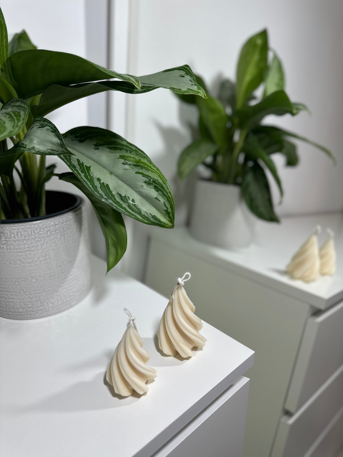 Bougie Rêve de Sapin 🎄