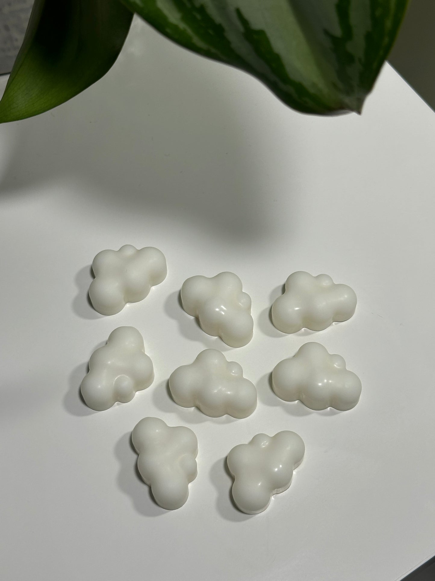 Fondants Parfumés Fruit du Dragon 🐉