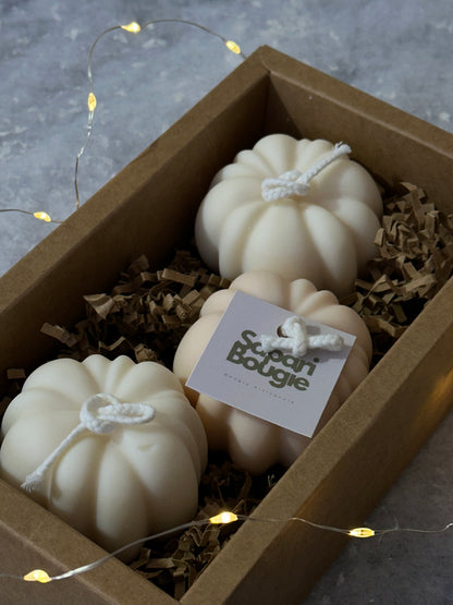 Coffret Citrouille 🎃