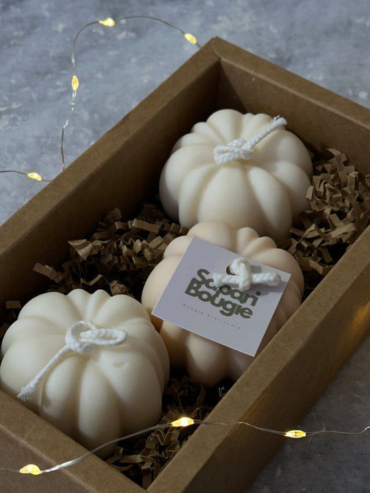 Coffret Citrouille 🎃