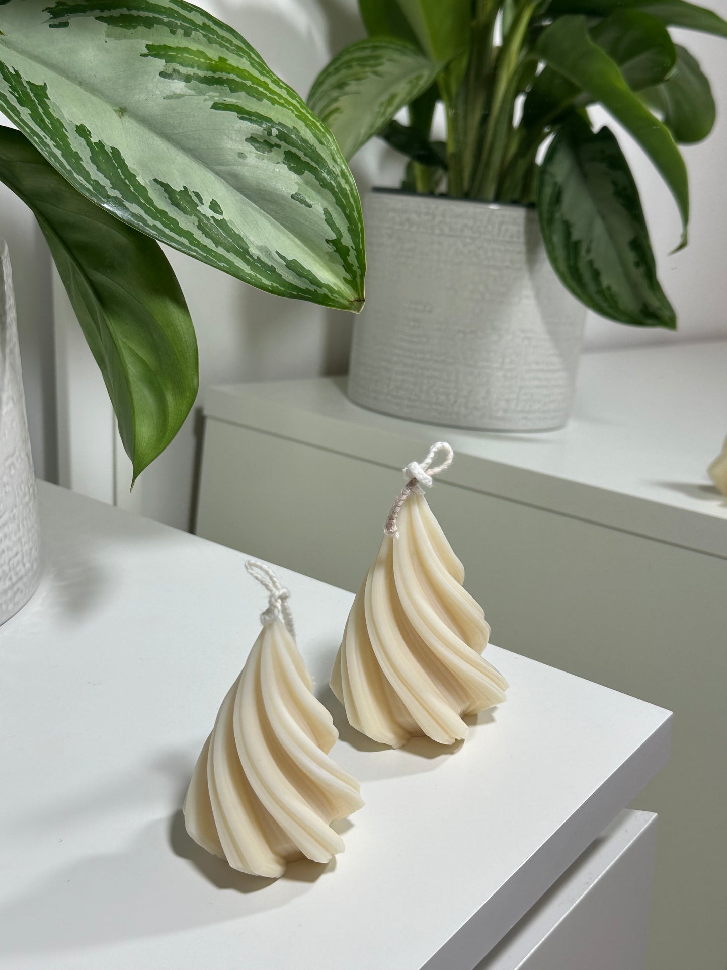 Bougie Rêve de Sapin 🎄