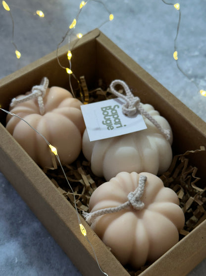 Coffret Citrouille 🎃